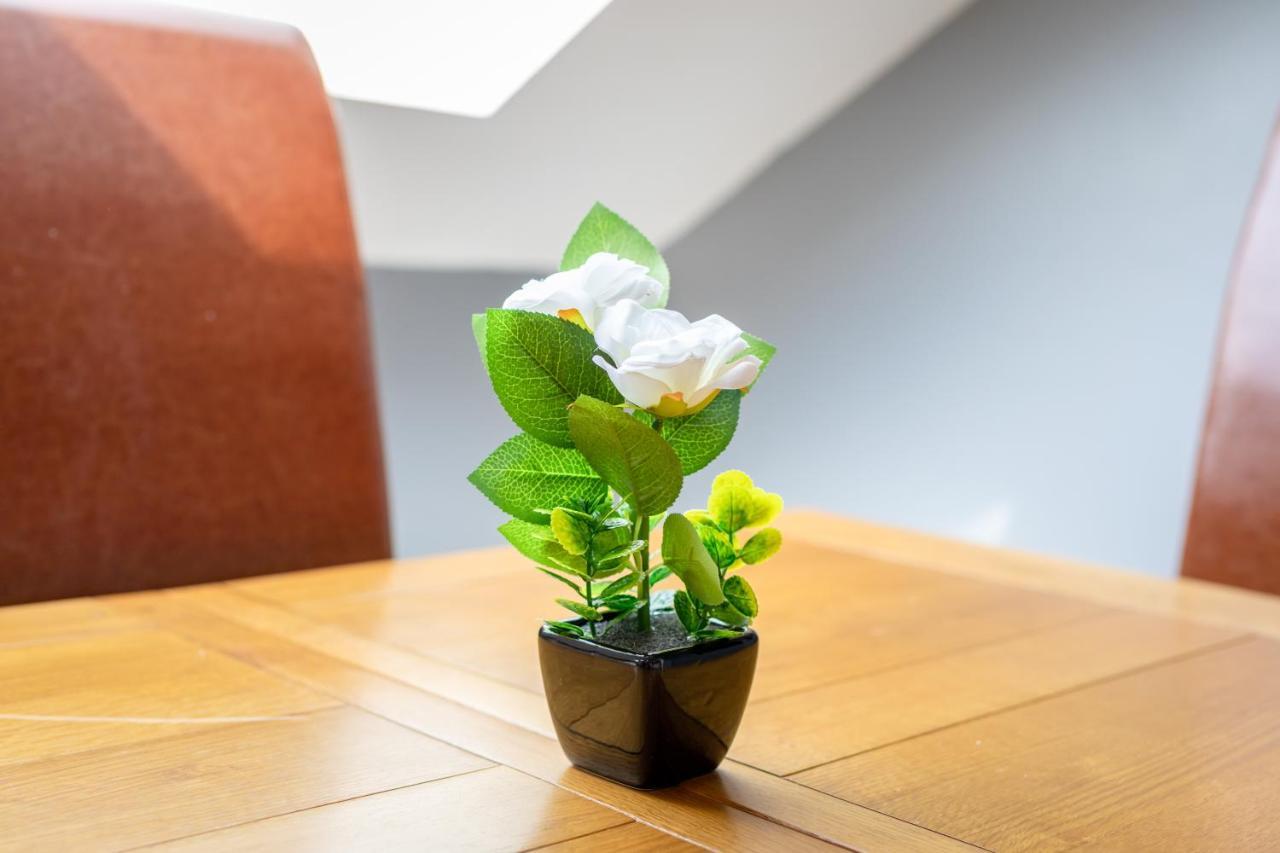 Sunderland City Centre Apartments Free Parking And Wi-Fi Exteriör bild